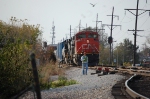 CN 8849